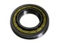 ROLAMENTO EIXO PILOTO G3 50/60 (F45809/315070) ROLETE